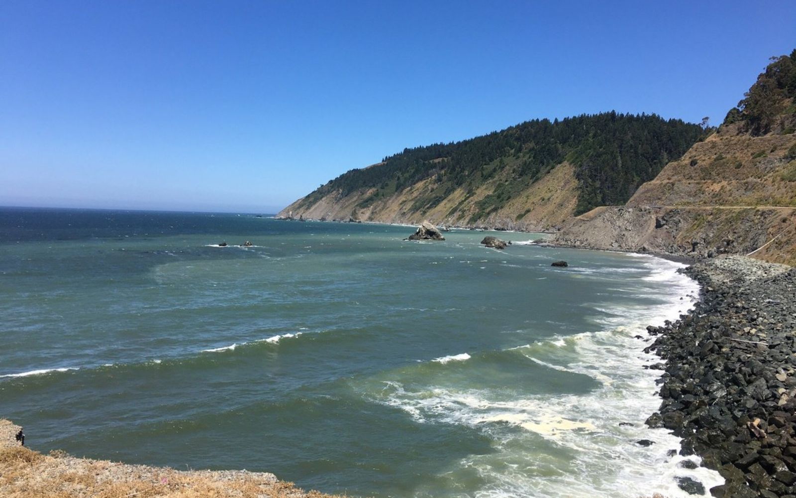Top Things to Do in Fort Bragg: Beaches, Attractions & Hidden Gems