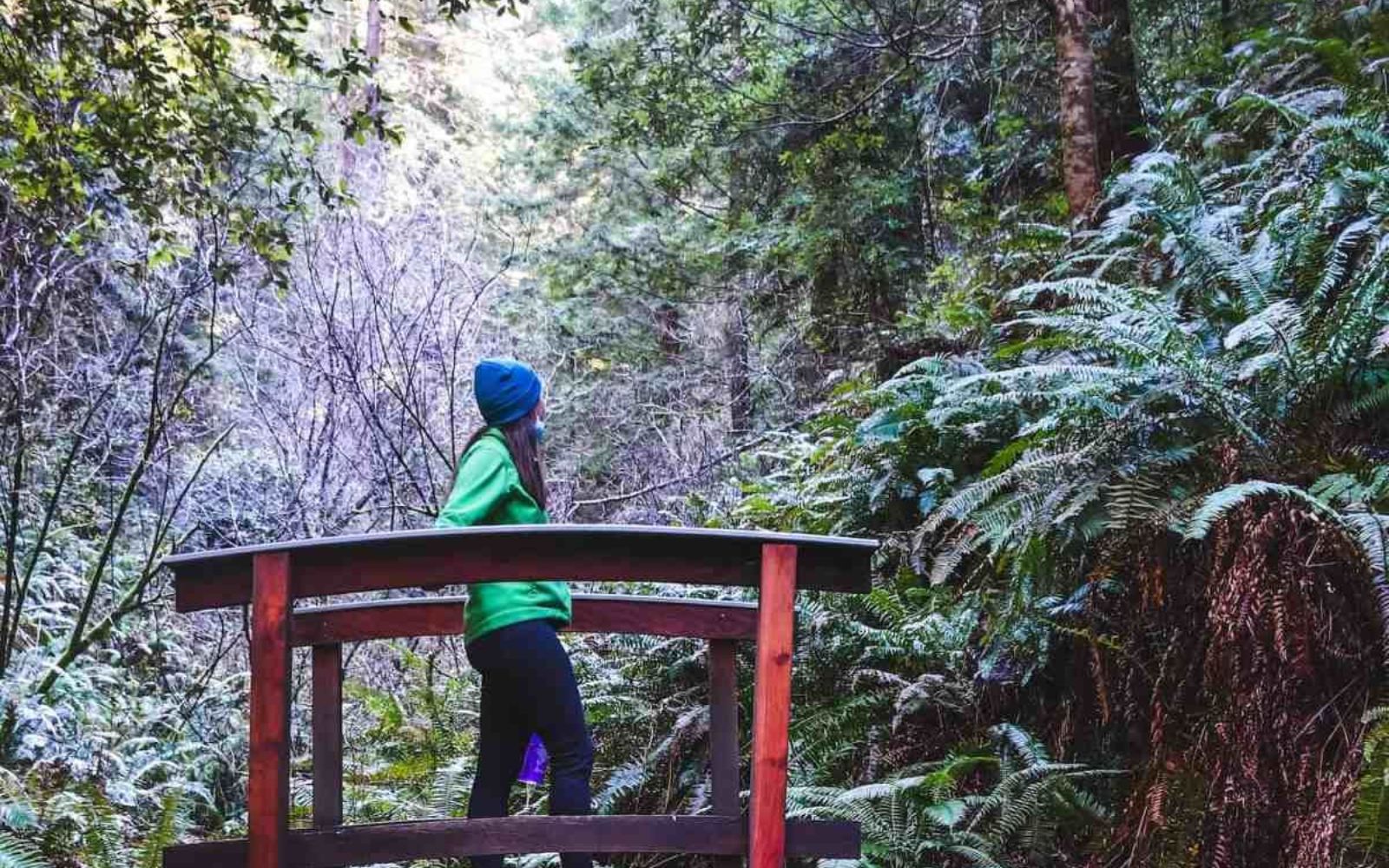 Best Things to Do in Fort Bragg, CA on a Budget (Perfect for Road Trips)